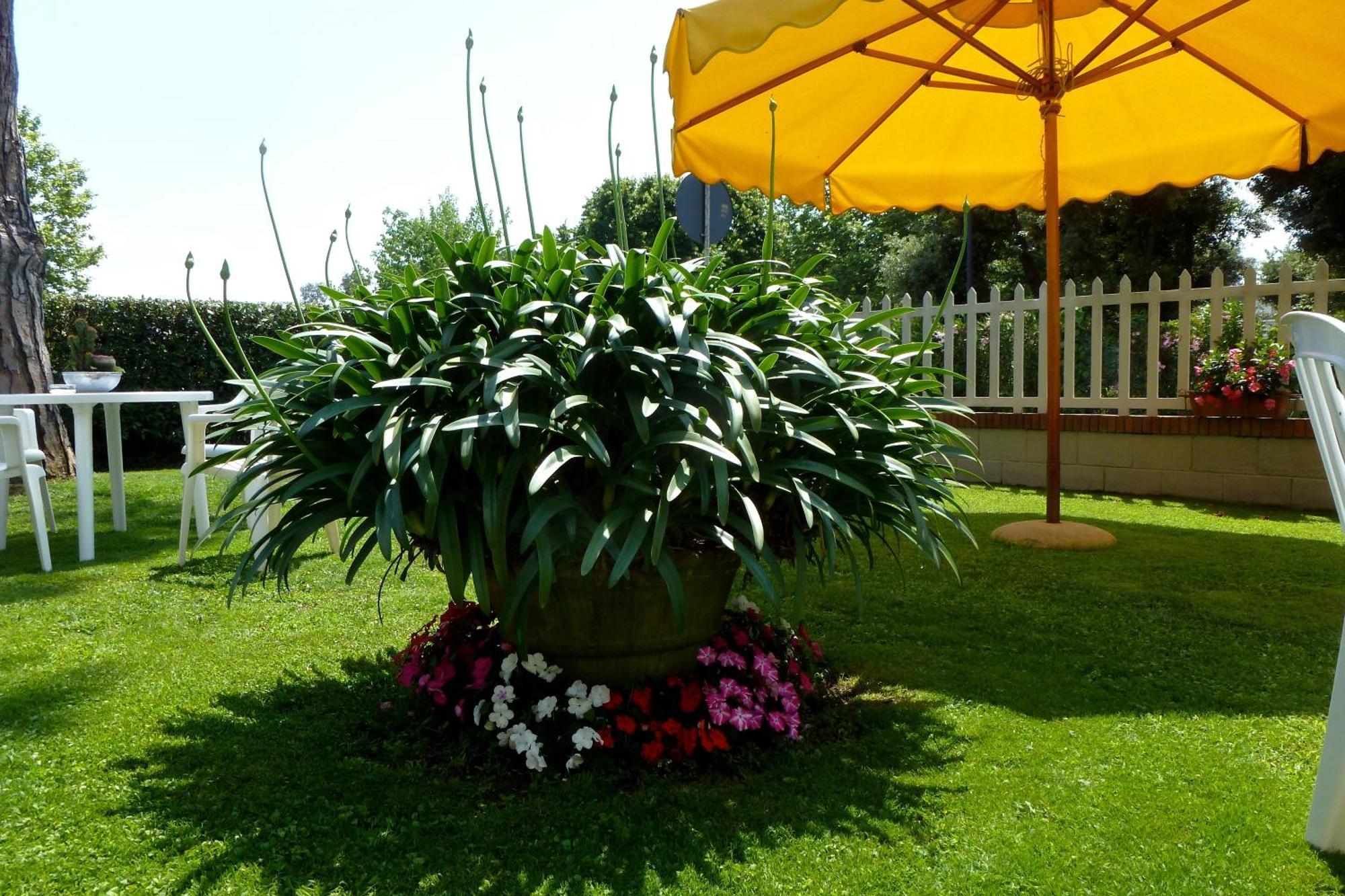 Hotel Versilia Lido di Camaiore Luaran gambar